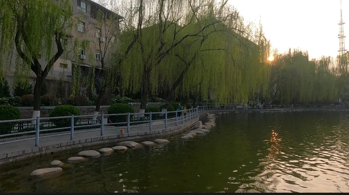 西安莲湖公园要门票吗,西安莲湖公园历史