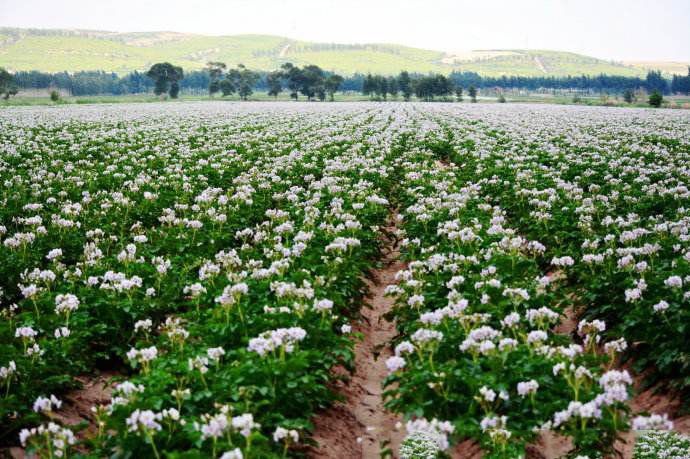 张北最美的景区是哪里,最美的草原自驾游路线攻略