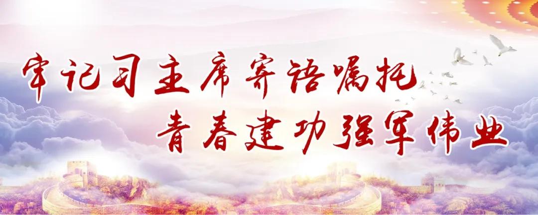 士兵突击和士兵再突击,大学生士兵的兵种