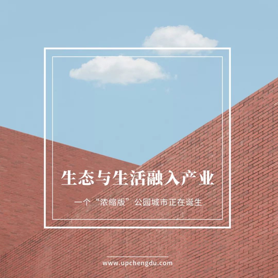 青白江近期大事件,为什么青白江如此重要