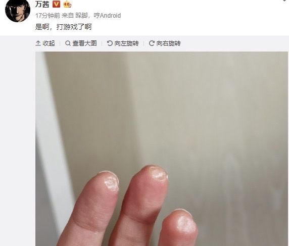 蓝盈莹张含韵张雨绮,张含韵蓝盈莹同框