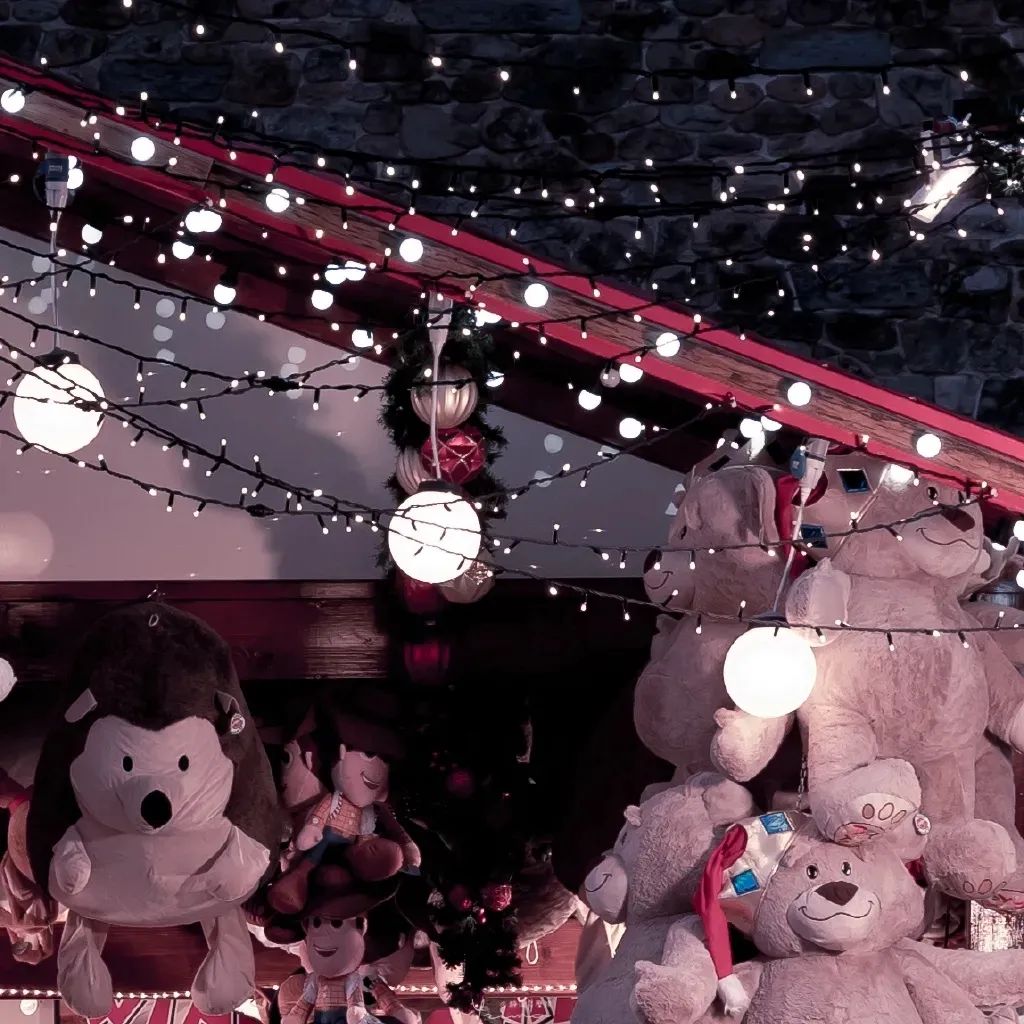 欣欣向荣高干强取豪夺,作者欣欣向荣的所有作品