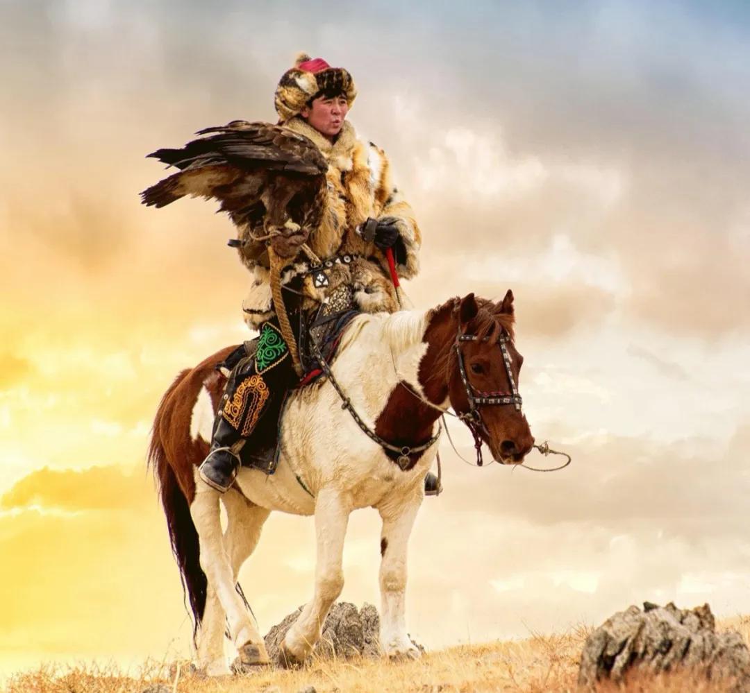 蒙古洗发水,日本洗发水蒙琉怎么样