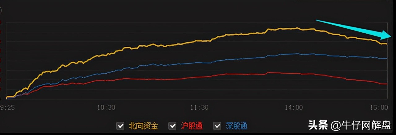 v哥最新视频,v哥最新全部视频