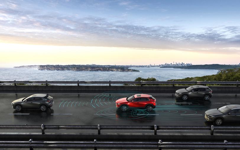 出走半生归来仍是少年出自哪本书,cx-30综合评价