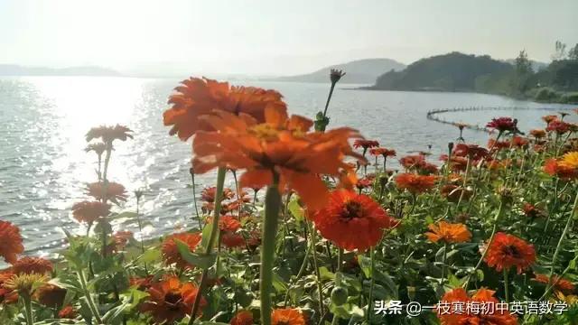 初中英语高频核心单词,1000个核心英语单词