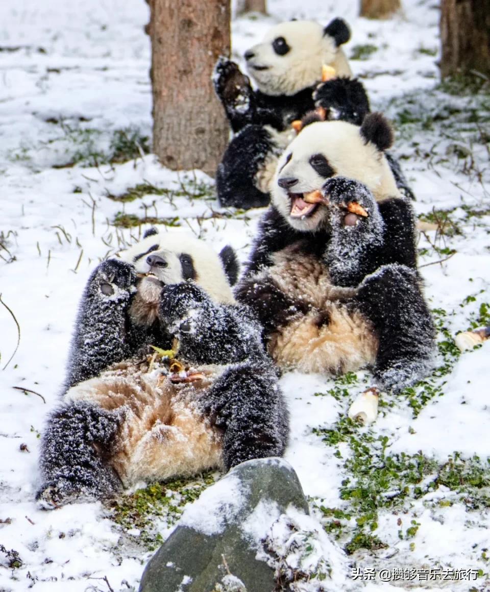 甘孜欢迎您,四川甘孜州欢迎您