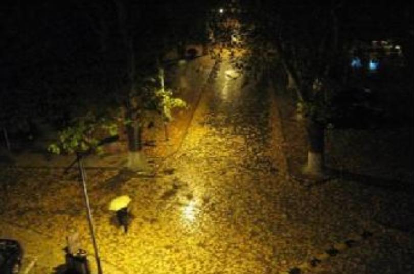 「原创诗词」黄河|梦里闲云去春曲入花耕(诗词五首)