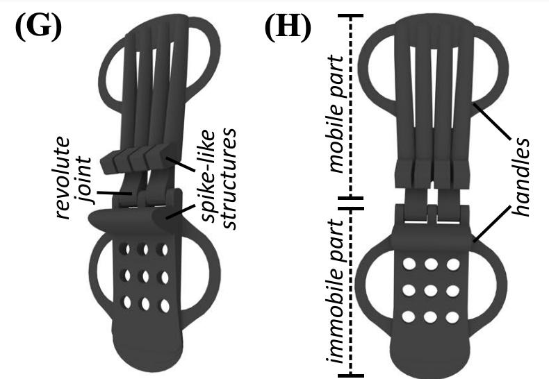科学家通过蜻蜓发明了什么,科学家通过蜻蜓的启发发明热气球