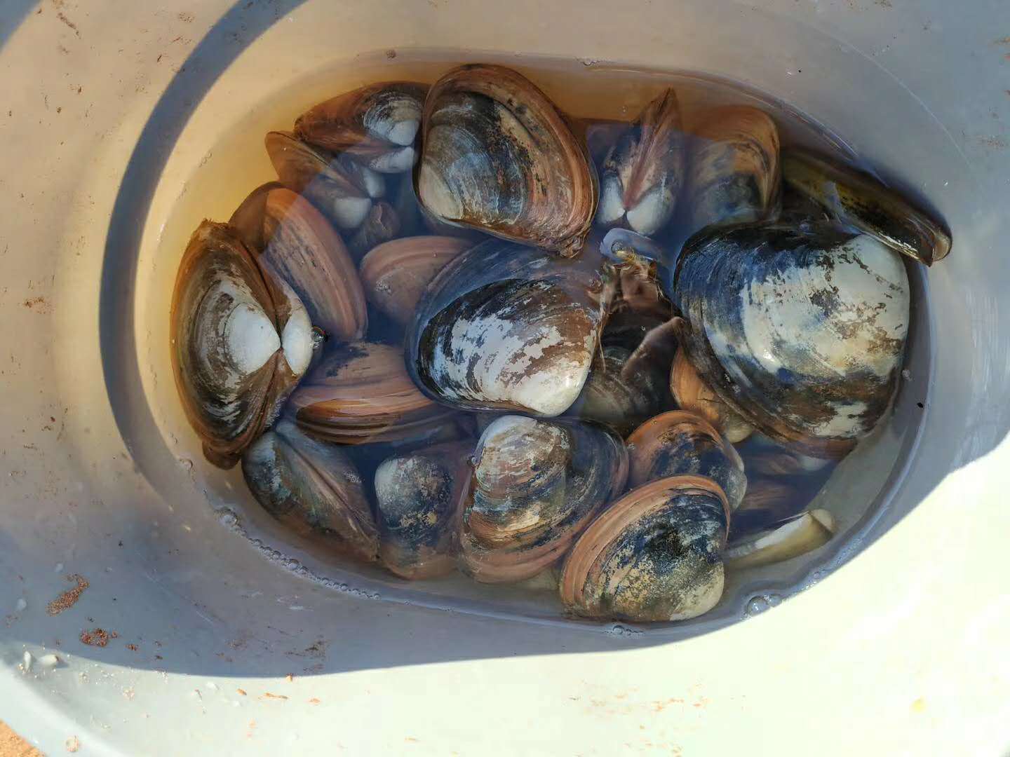 爱德华王子岛旅游,爱德华王子岛避暑之旅