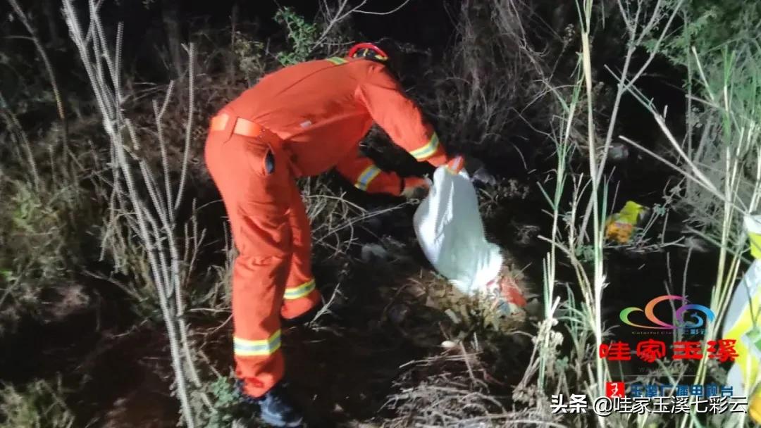 蛇出没！别怕，有“蓝朋友”保护你！