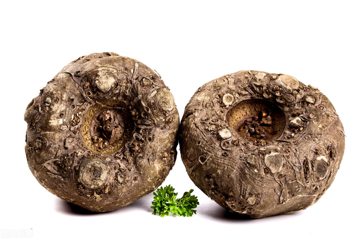 魔芋致富大产业,种植魔芋效益如何