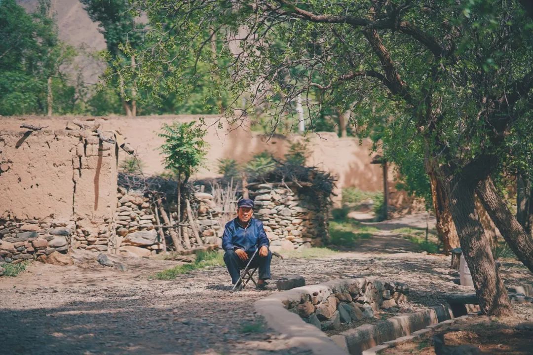 可盐可甜是哪首歌的歌词,可盐可甜出自哪