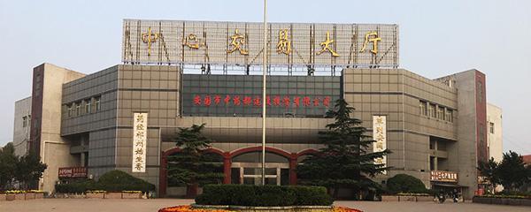 中药材丹参新货价格,药材行情丹参销售市场