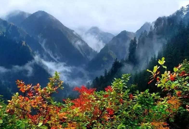 全国300多个著名景区免费游！别忘了带上这个证~