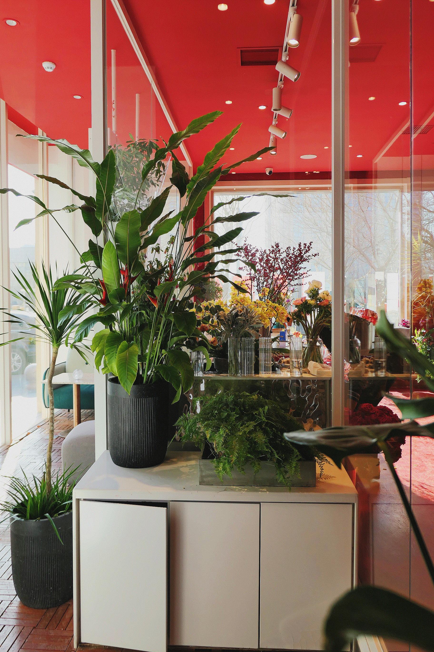 这两家童话般的“魔法蛋糕店”，也太香了吧