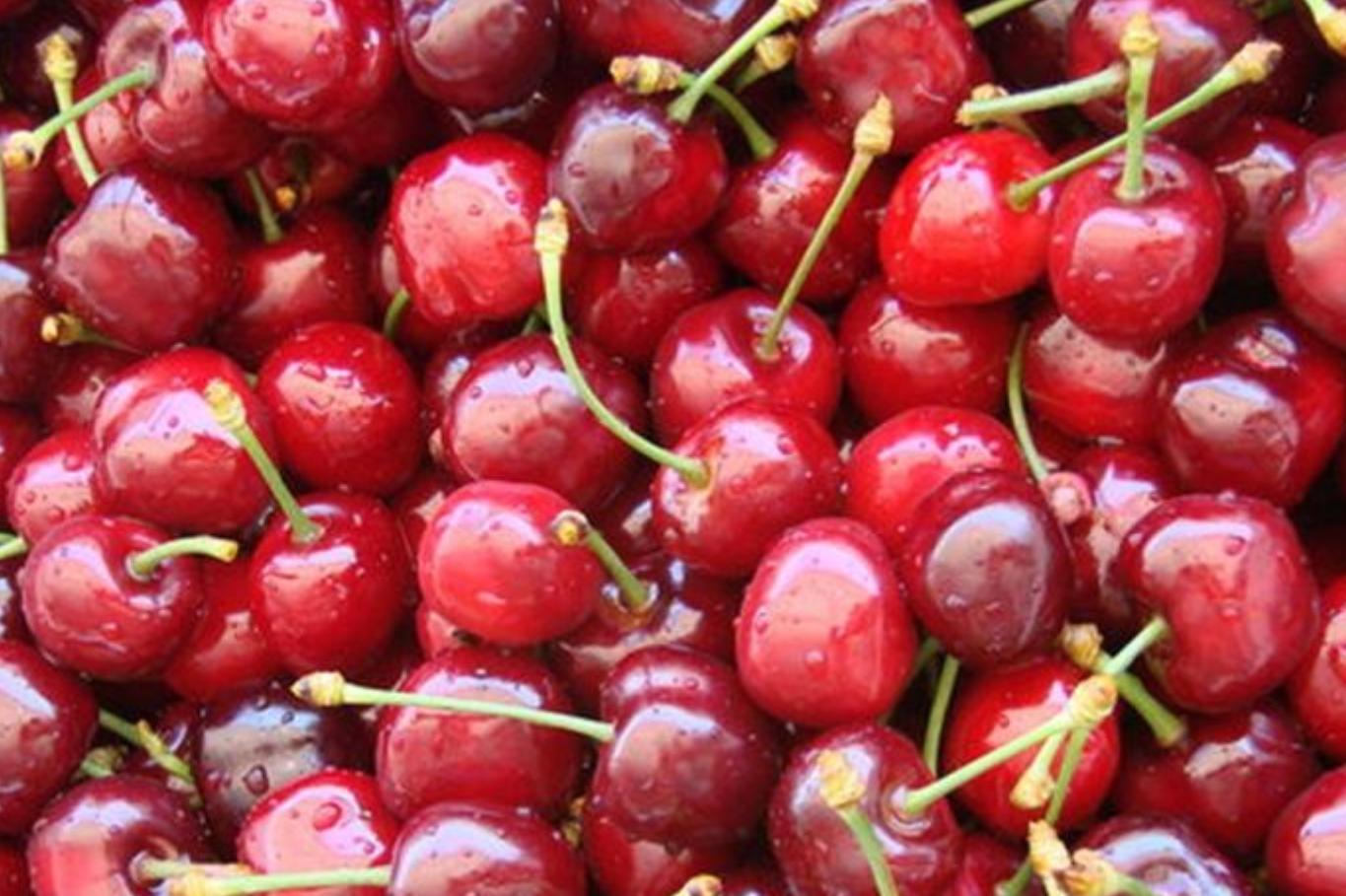 澳洲和智利车厘子区别,智利车厘子和车厘子有什么不一样