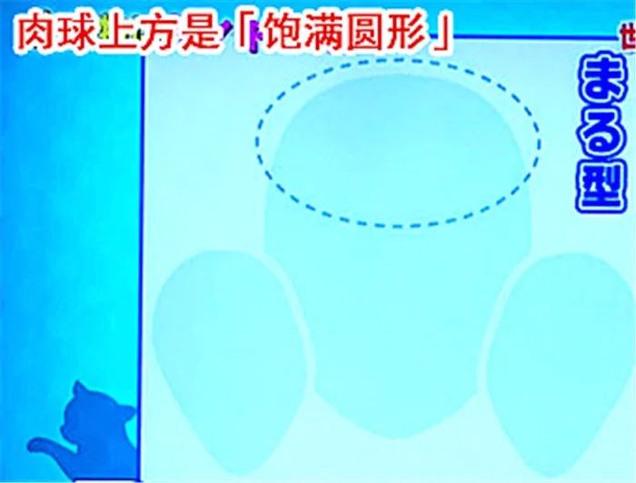 猫爪辨别猫的性格,猫咪爪垫分辨性格准确吗