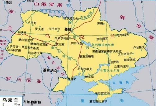 季莫申科怎么没当总统,季莫申科怎么当总统