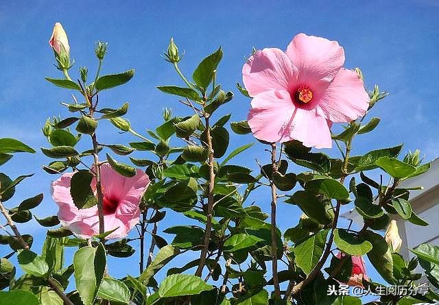 人生格言经典短句励志正能量,正能量人生格言励志短句大全