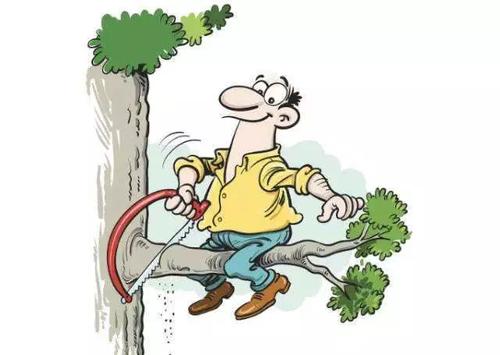 林木采伐技术规程存在问题,福建省森林采伐管理条例