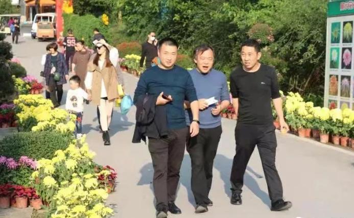 赏菊花美丽的风景无处不在,绚丽多彩的菊花千姿百态