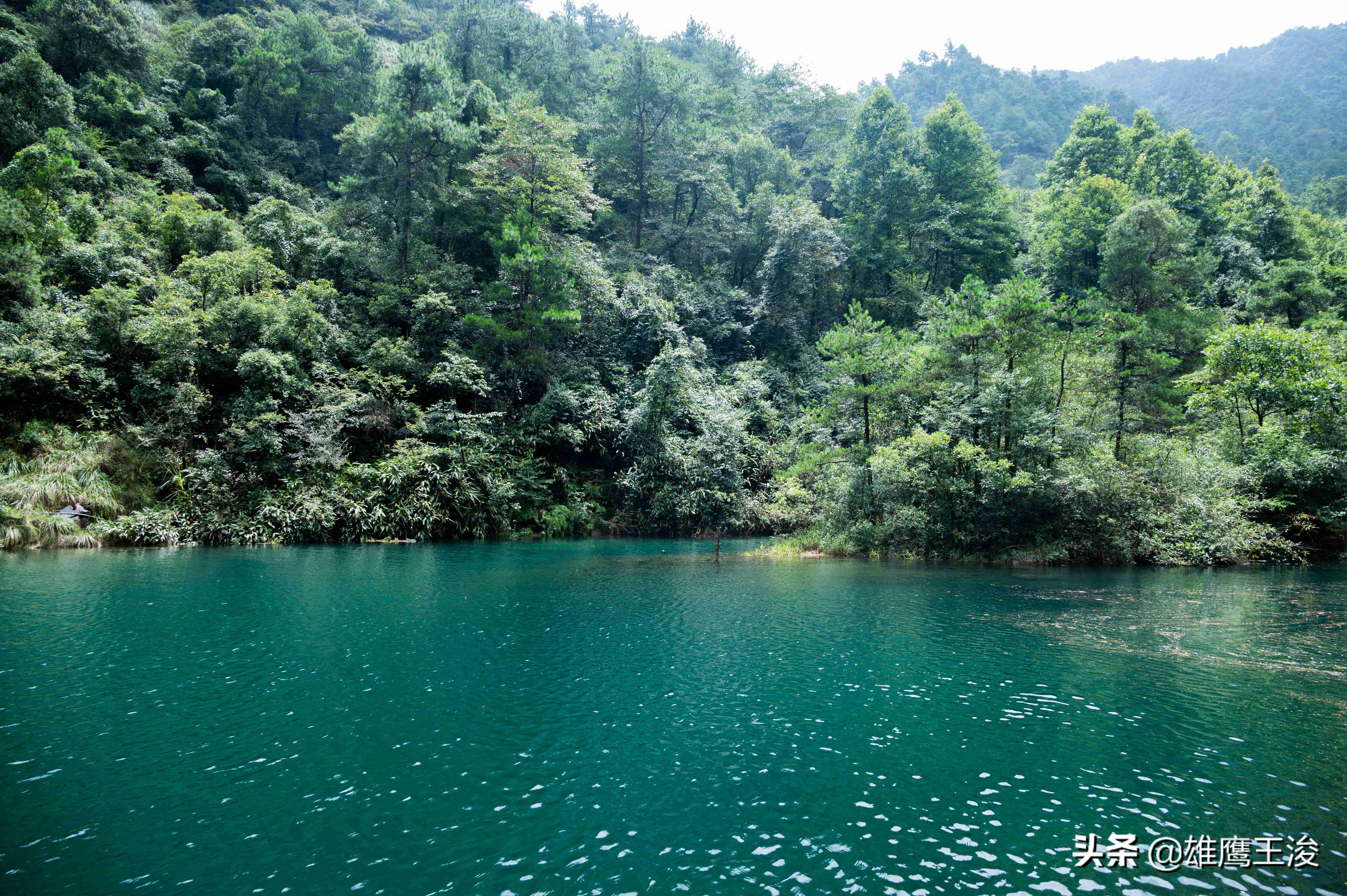 杭州十月周边适合情侣旅游的地方,十月底杭州好玩的地方推荐