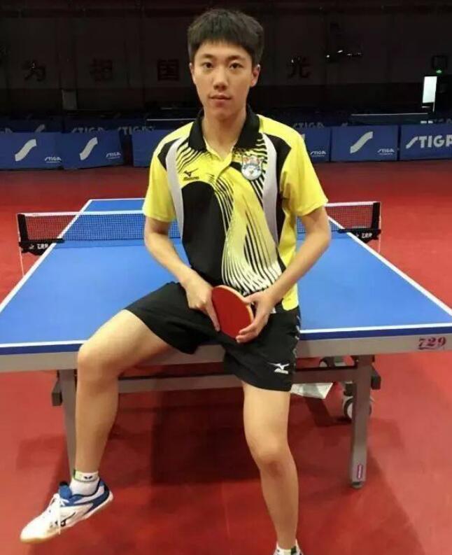 国乒对战张本智和最新消息,国乒天才横空出世
