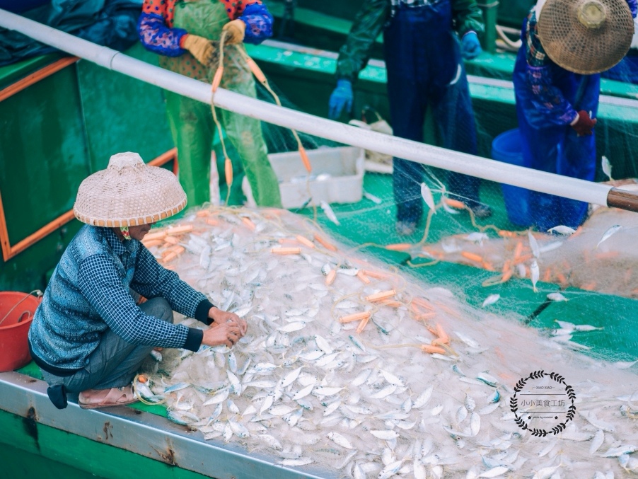 新鲜海鲜和冷冻海鲜哪个好,如何区分海鲜冰鲜和冰冻