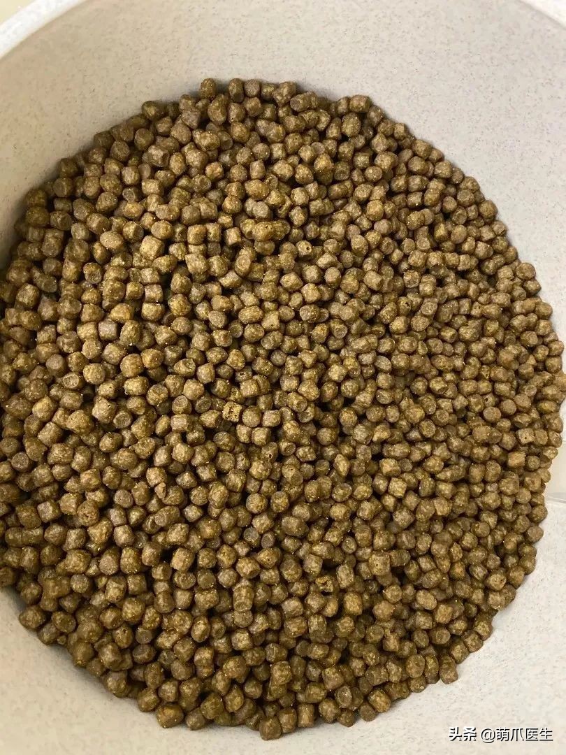 go猫粮吃了拉黄水,go猫粮吃了会黑下巴吗