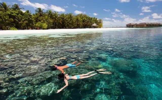 10-1马尔代夫,马尔代夫1万多岛屿推荐