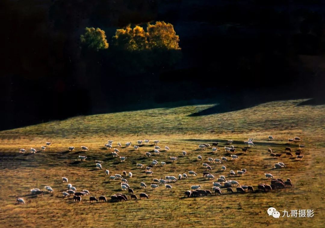 坝上草原天路美景,大美坝上风光系列之一