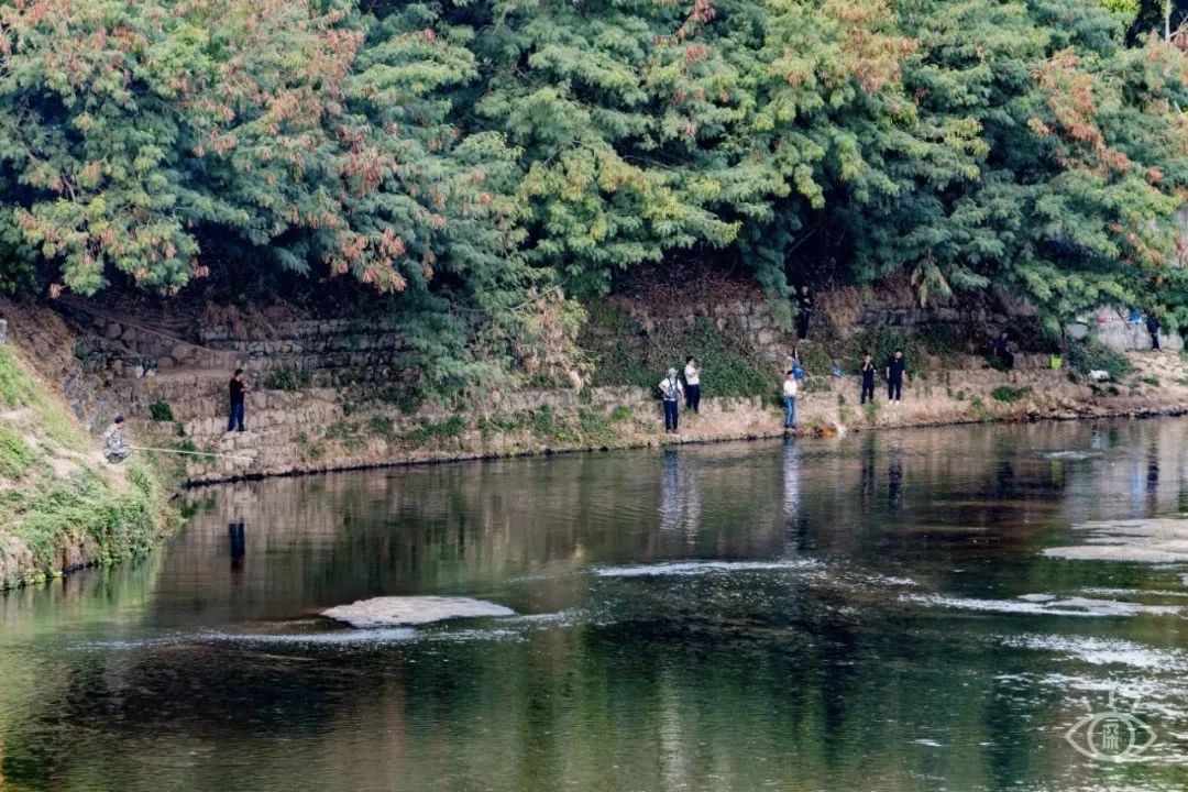 深圳游玩合集,深圳世界之窗游玩攻略必玩项目