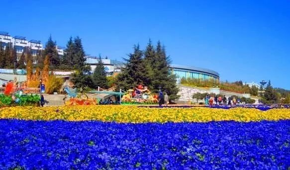 昆明最值得一去的景点,昆明元旦热门景点