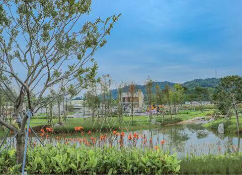 深圳花海公园地址在哪里,深圳中心河公园花海