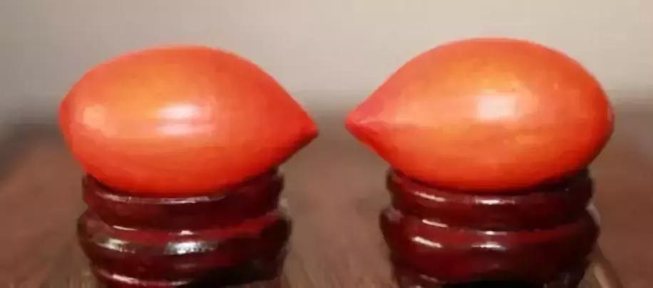 最全的菩提子图解太美了,最好的菩提子