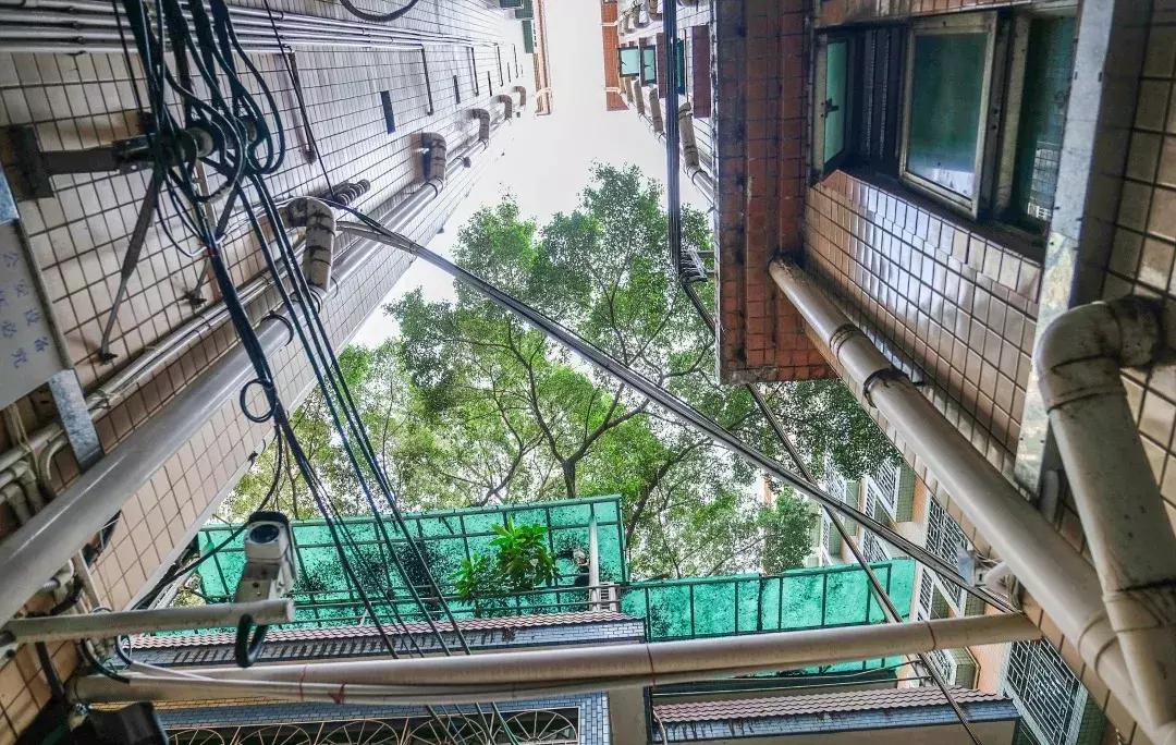 公社笋岗,万象笋岗