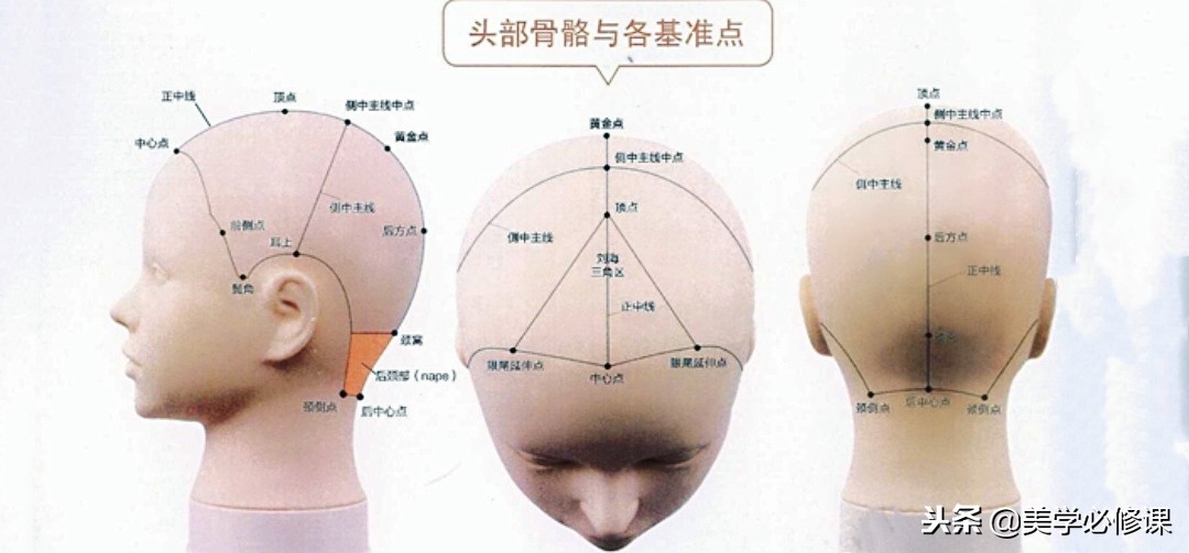 美发初学烫染分区,美发基础分区教程