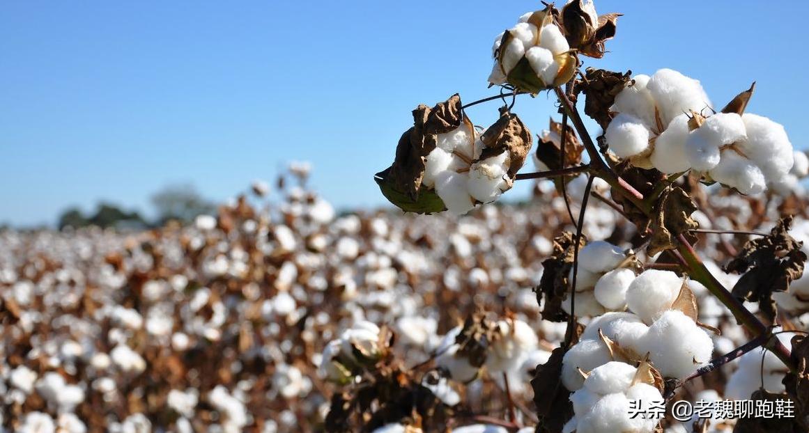 男人需要带乳贴吗？不戴乳贴跑步会怎么样？这场面不忍直视