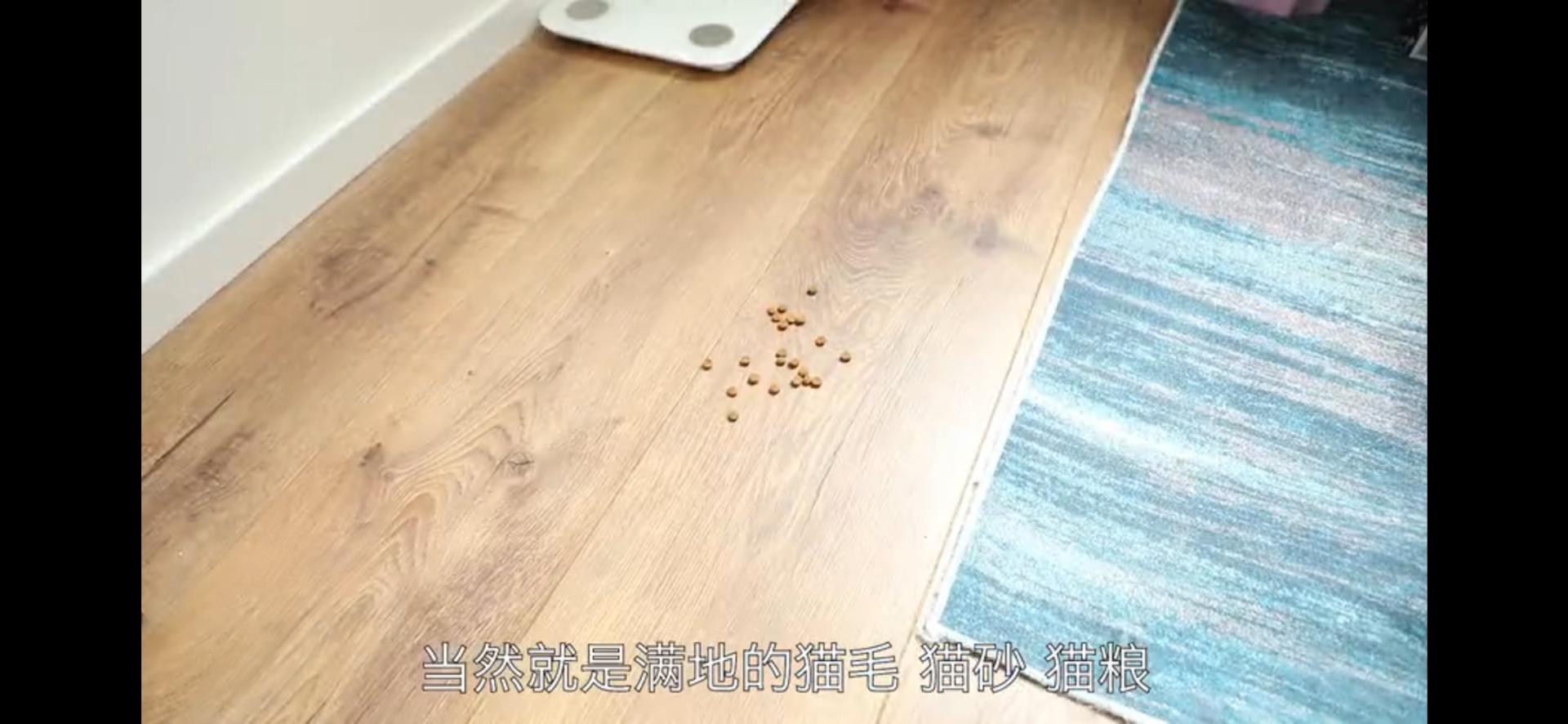 戴森吸尘器和飞利浦哪个好,戴森跟飞利浦吸尘器对比