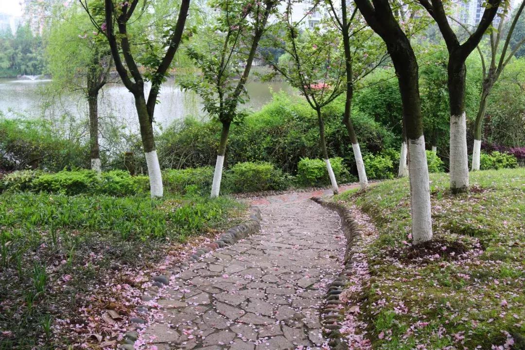 探秘北京大学食堂,四川探秘大学食堂