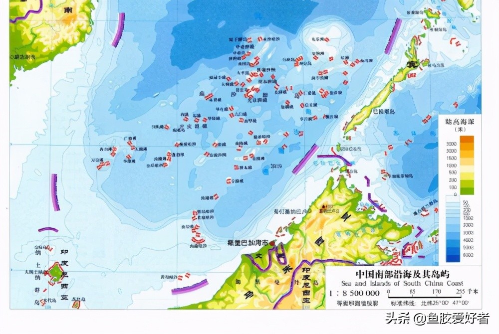 鱼胶选买什么样的好,如何挑选鱼胶让人觉得你是内行