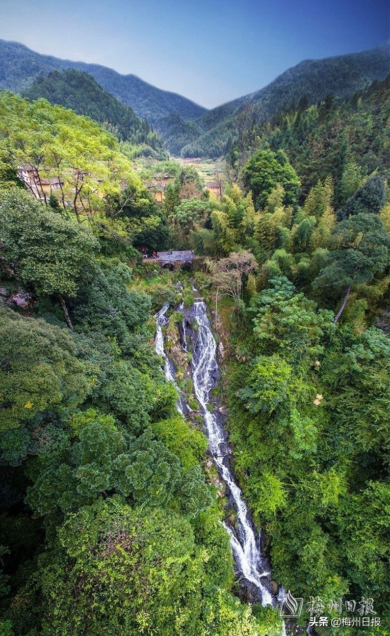 梅州最长寿的老人多少岁,梅州世界长寿之乡的美食