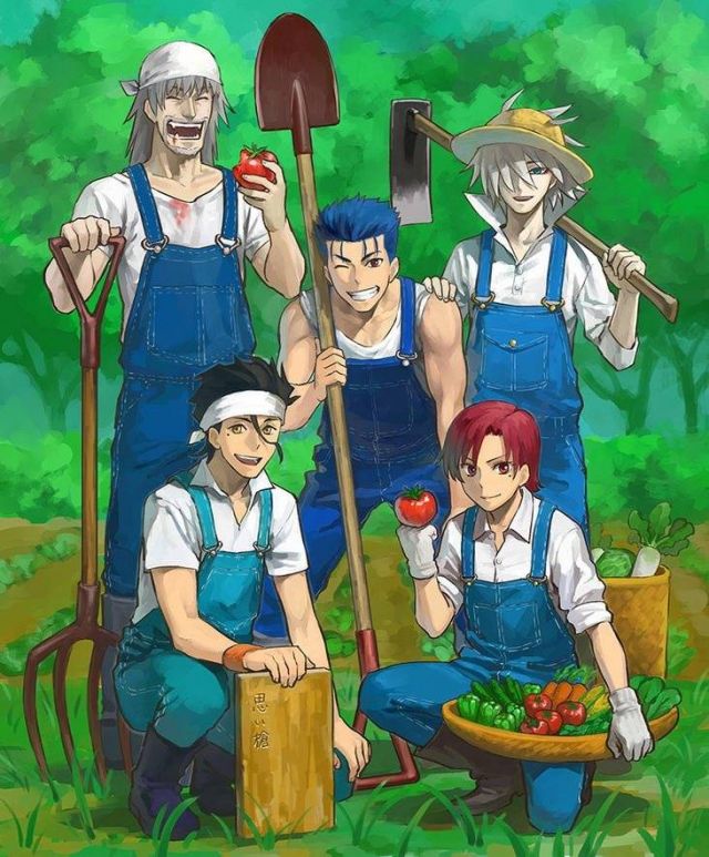 fgo情人节剧情,fgo情人节coa