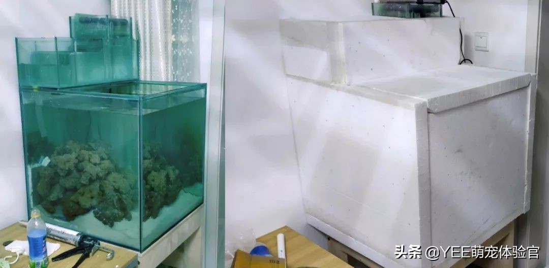 养的热带鱼突然停电了怎么办,冬天停电观赏鱼怎么处理