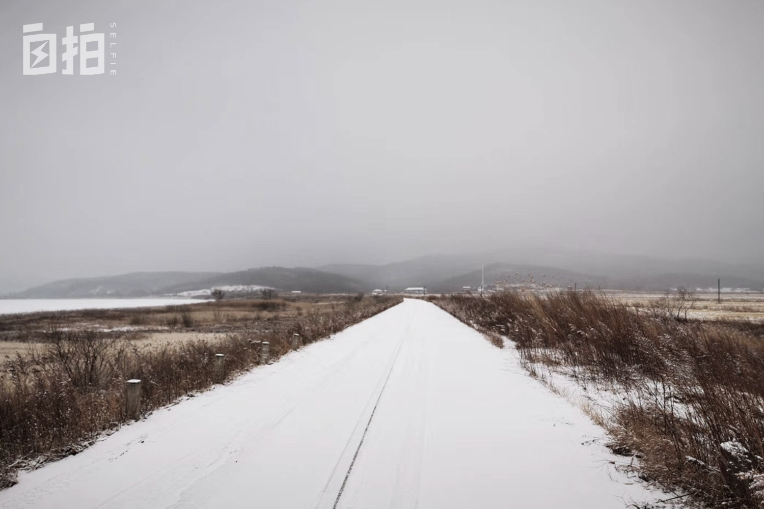 我，东北开过砖厂，巴黎刷过盘子，58岁再转型，从厨师变成摄影师