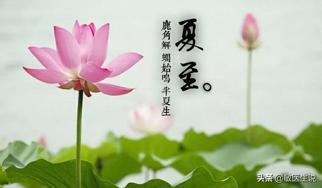 夏至饮食指南,夏至饮食食谱大全