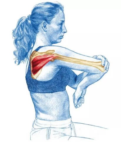 每日干货小分享,干货分享一周类的视频