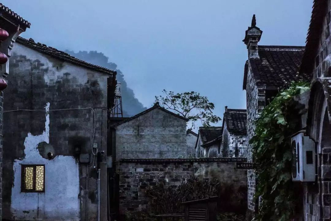 花一个周末时间去玩,花一个周末去苏州是什么体验