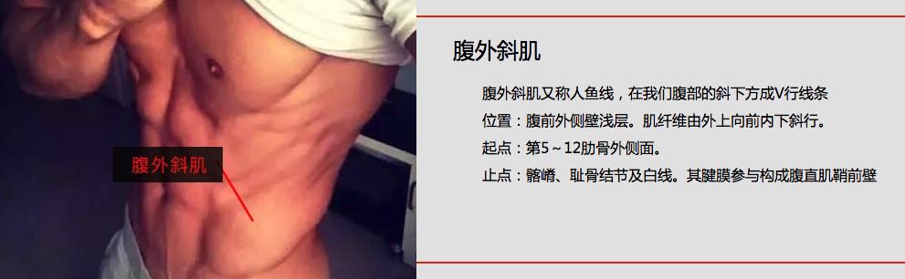 教你做迷人小腰精,打造少女腰手法